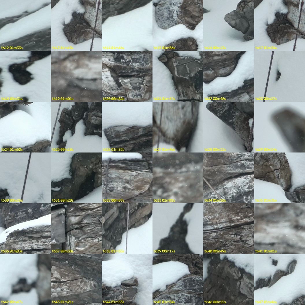 montage_17.jpg