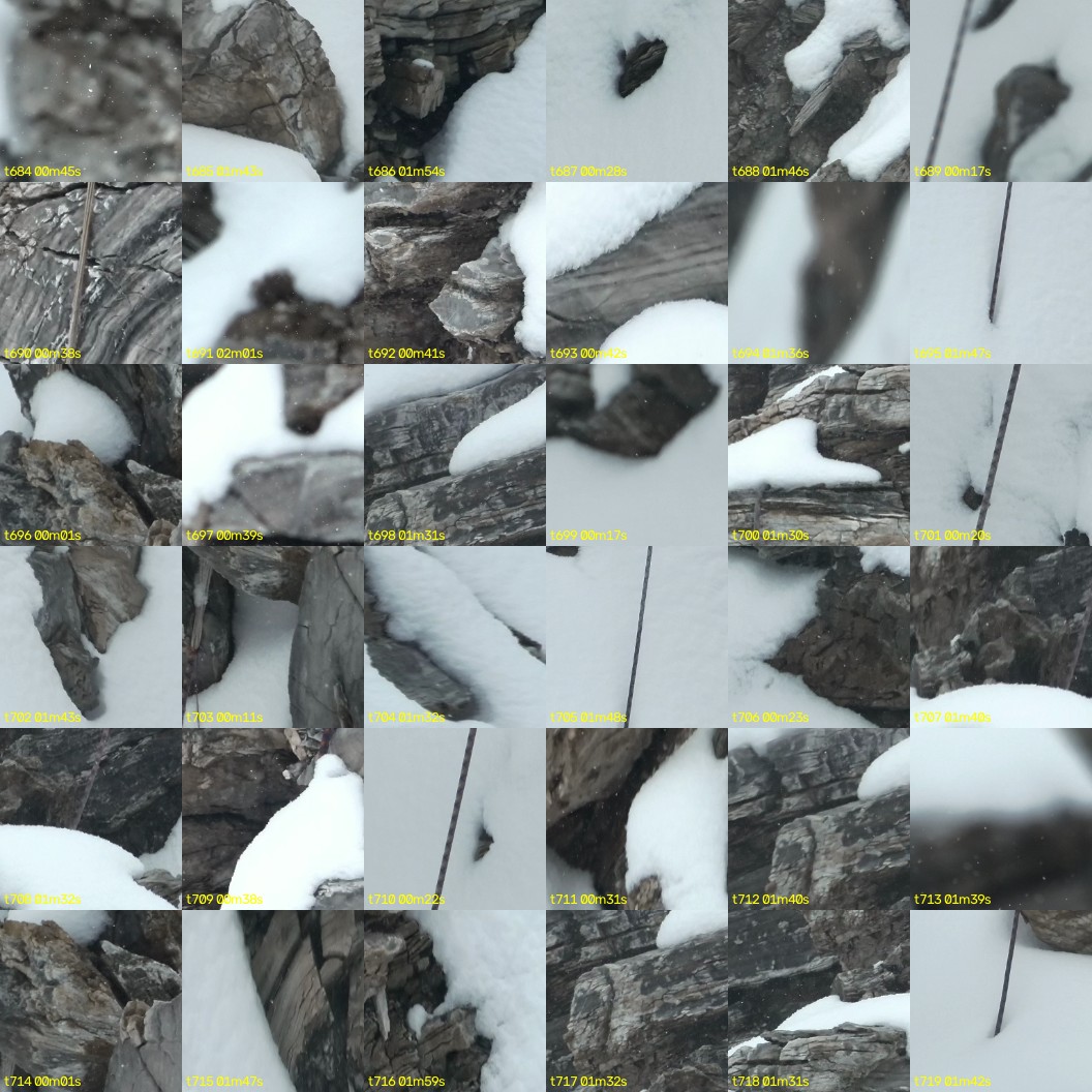 montage_19.jpg