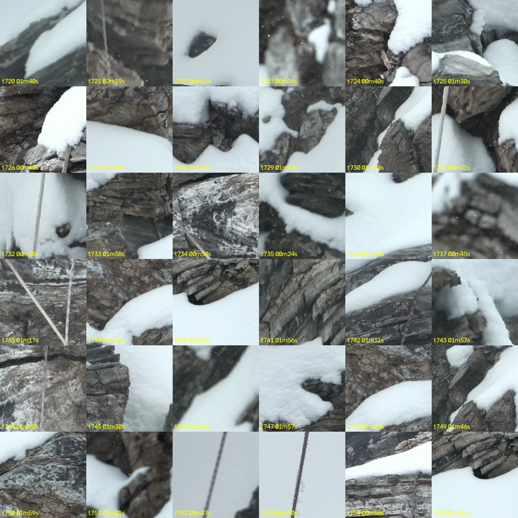 montage_20.jpg