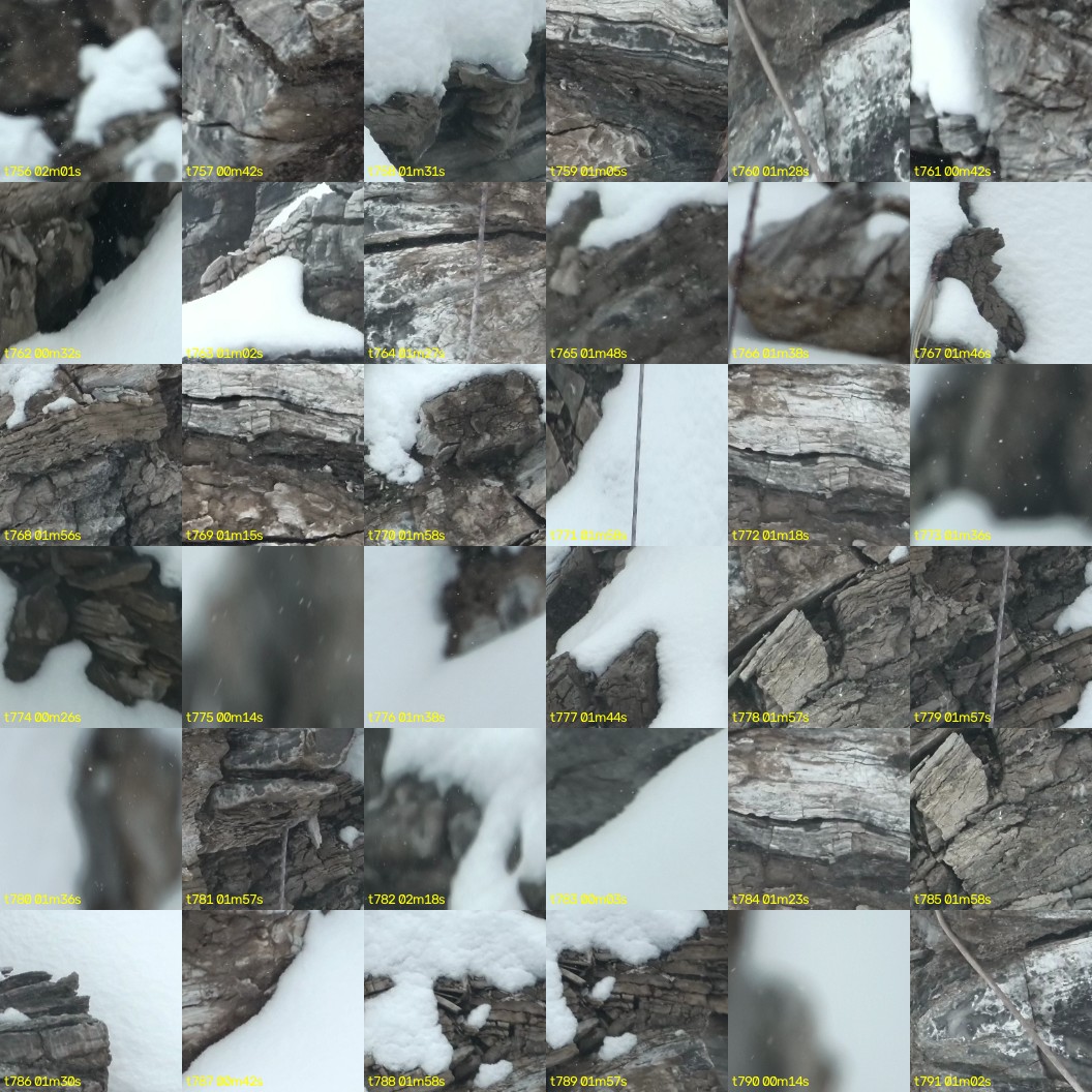 montage_21.jpg