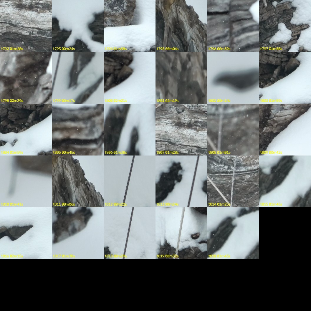 montage_22.jpg