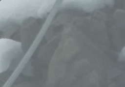 кроп