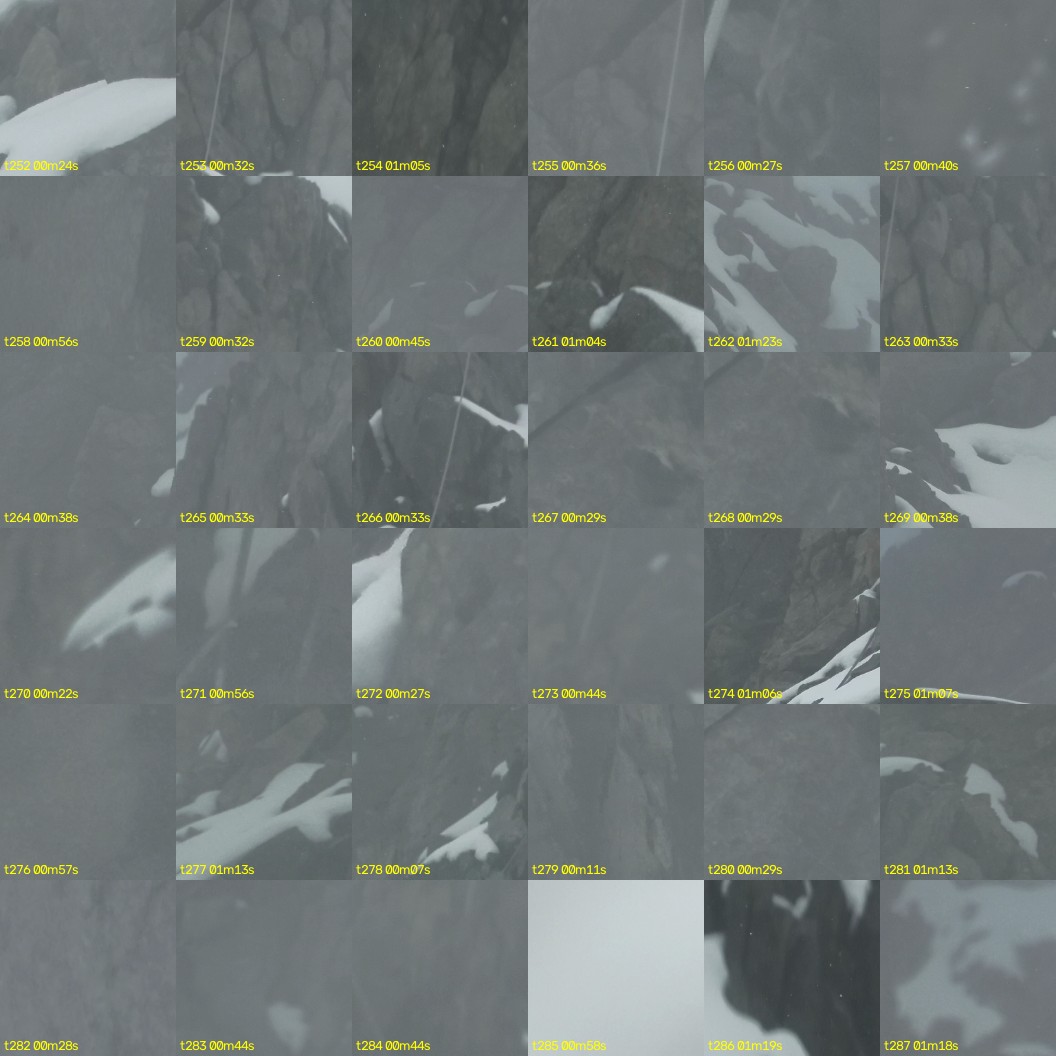 montage_07.jpg