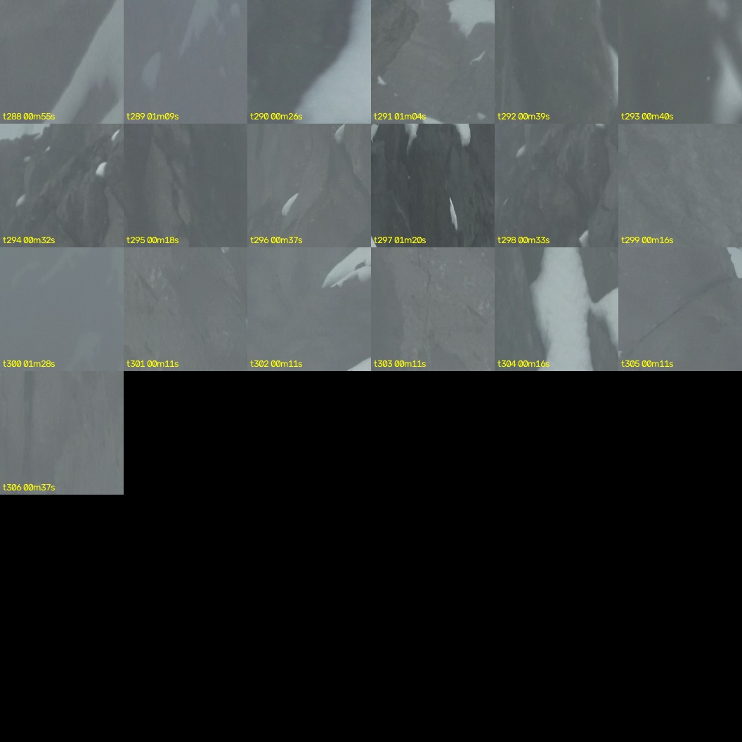 montage_08.jpg