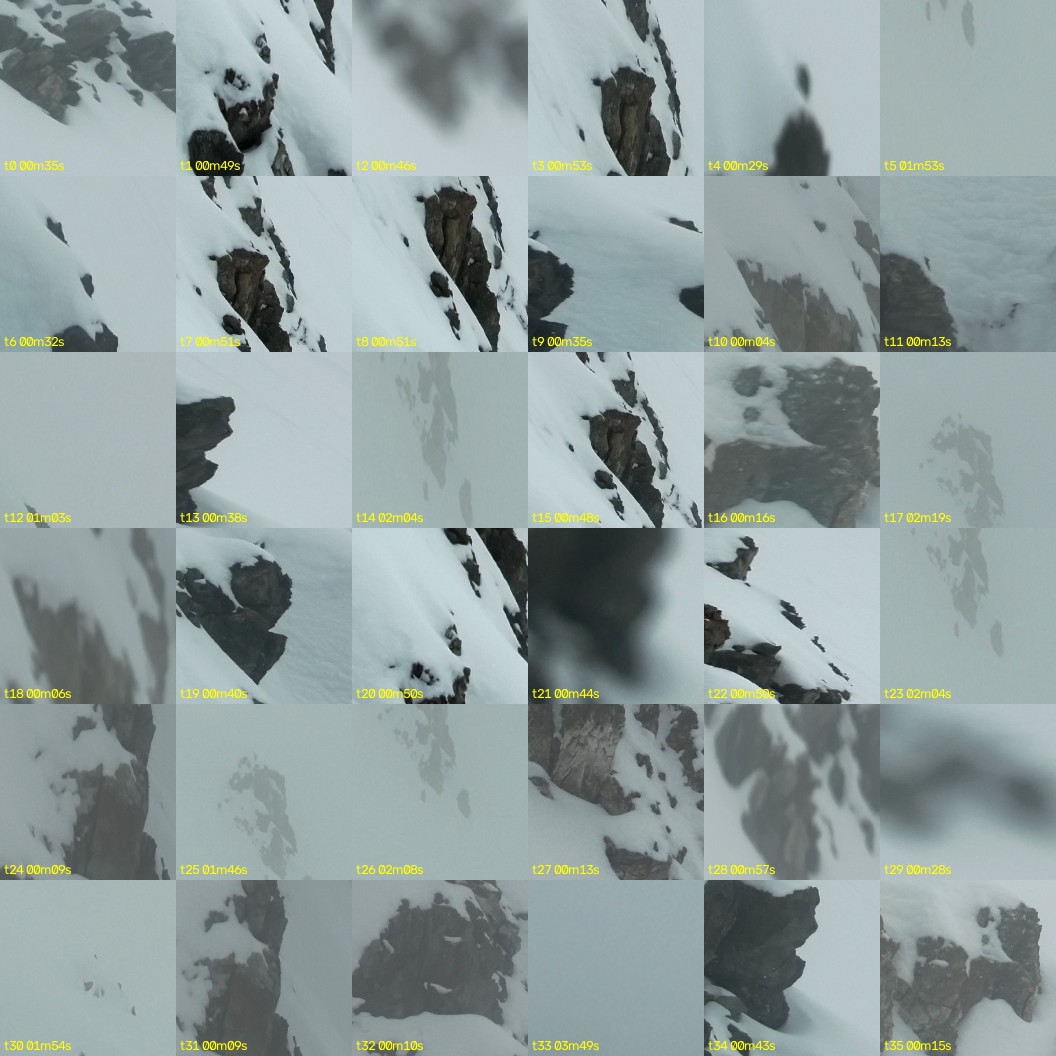 montage_00.jpg
