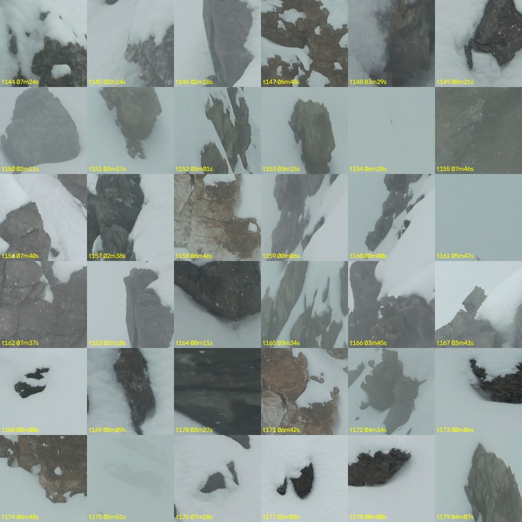 montage_04.jpg