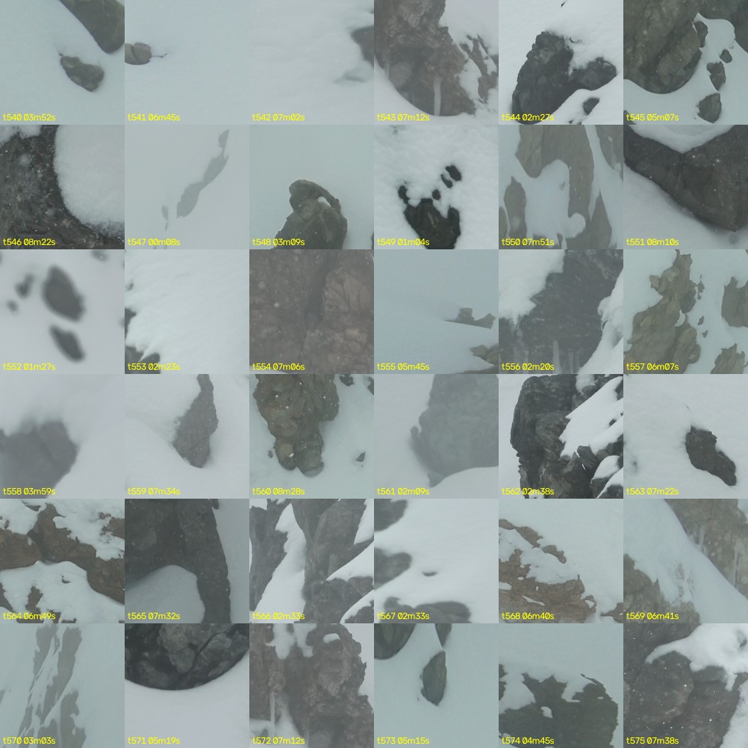 montage_15.jpg