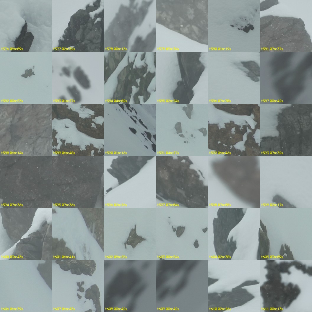 montage_16.jpg