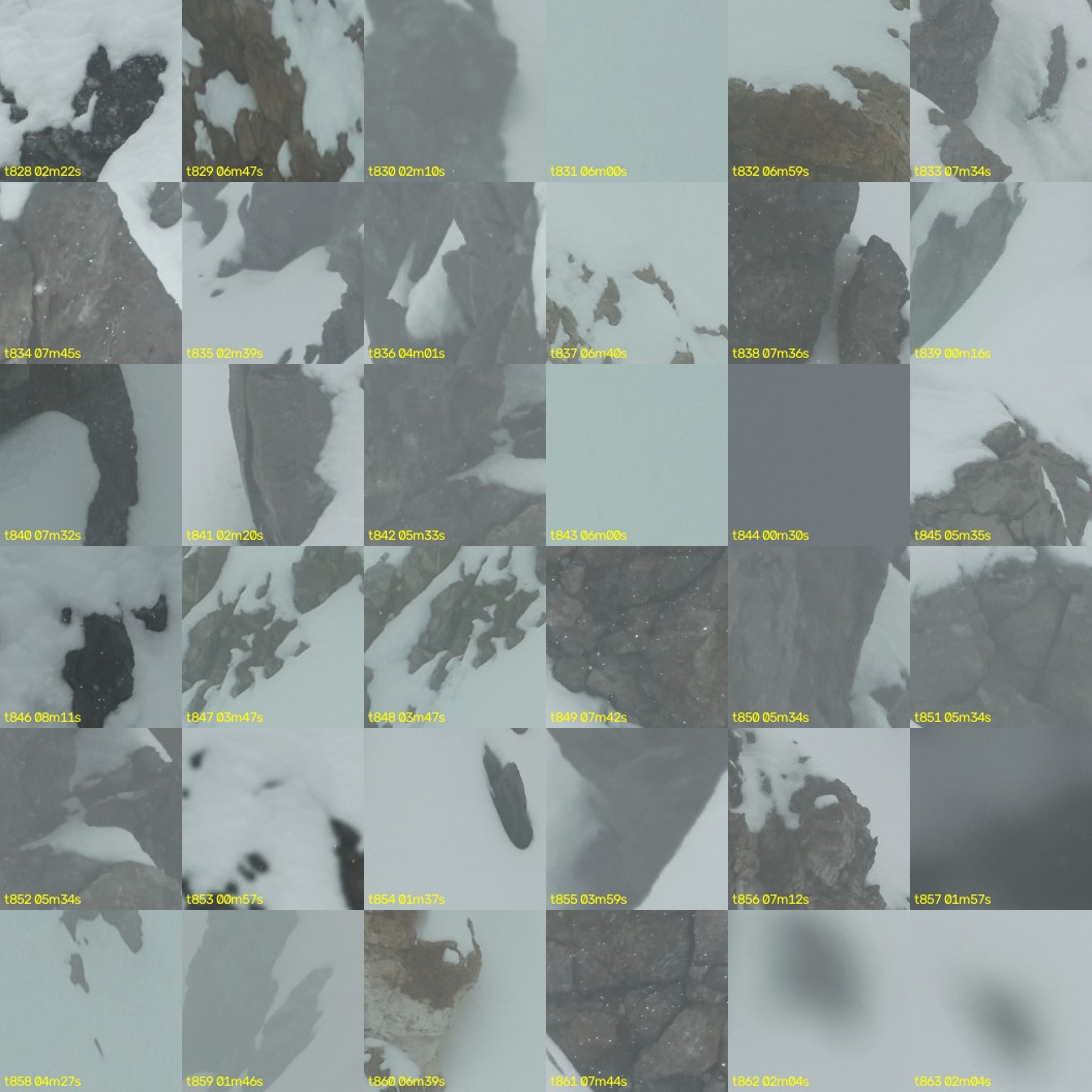 montage_23.jpg