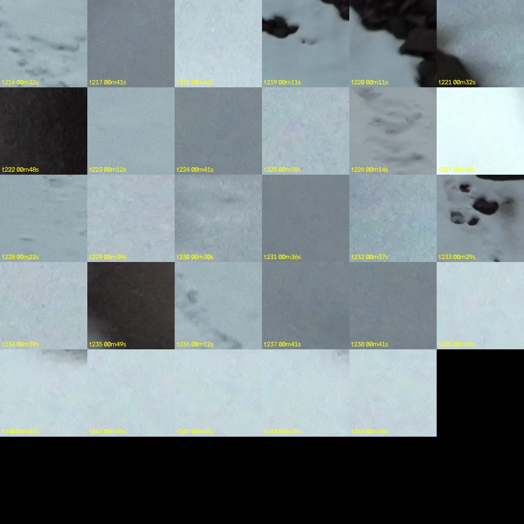 montage_06.jpg