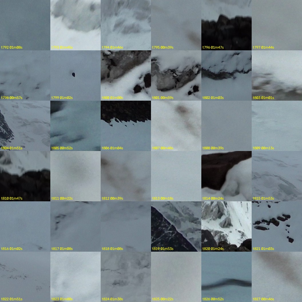 montage_22.jpg