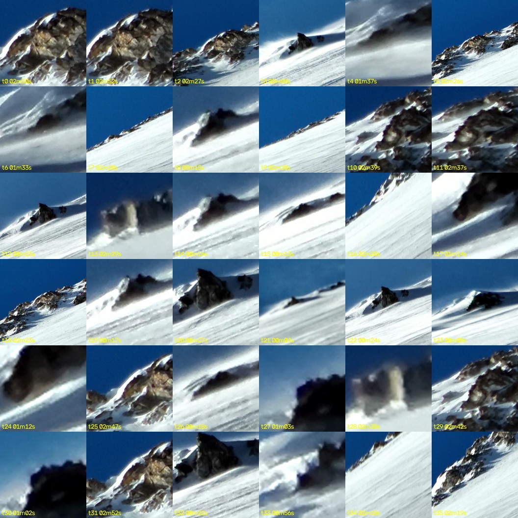 montage_00.jpg