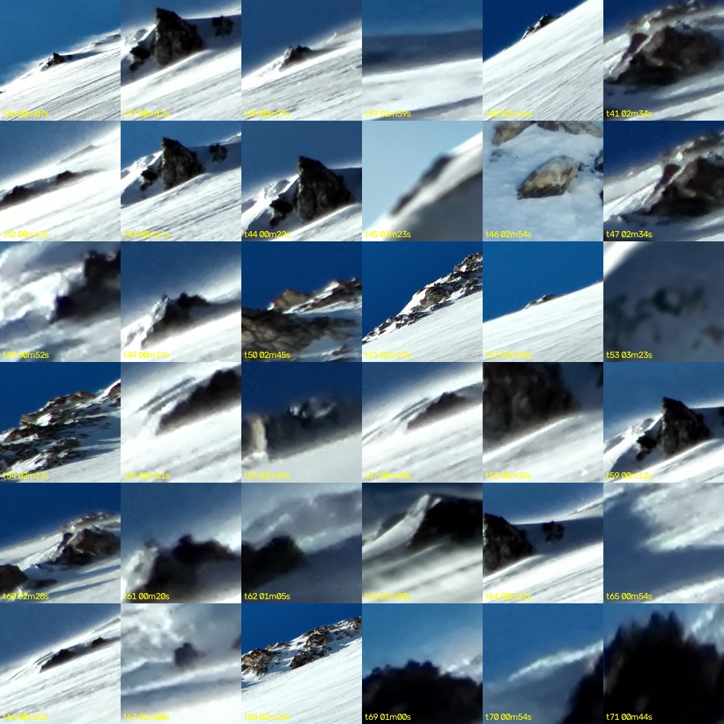 montage_01.jpg