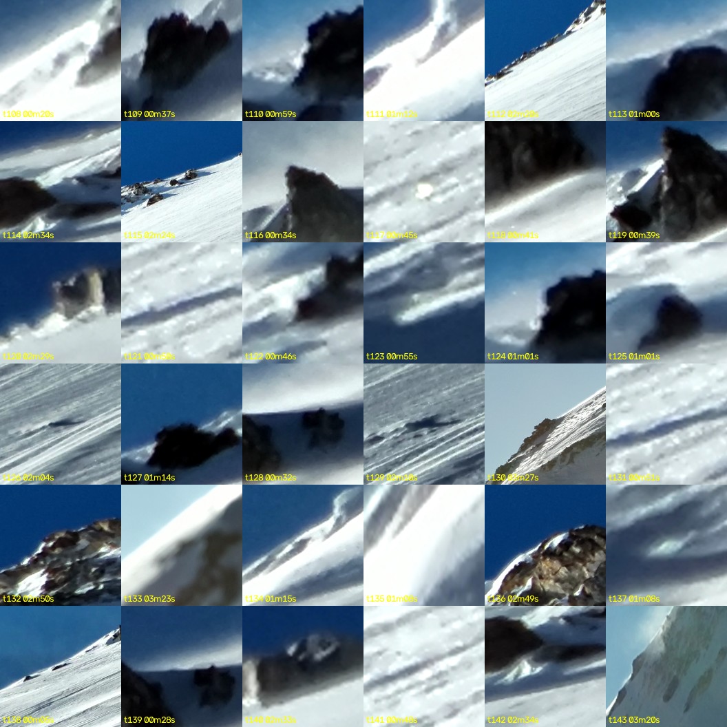 montage_03.jpg