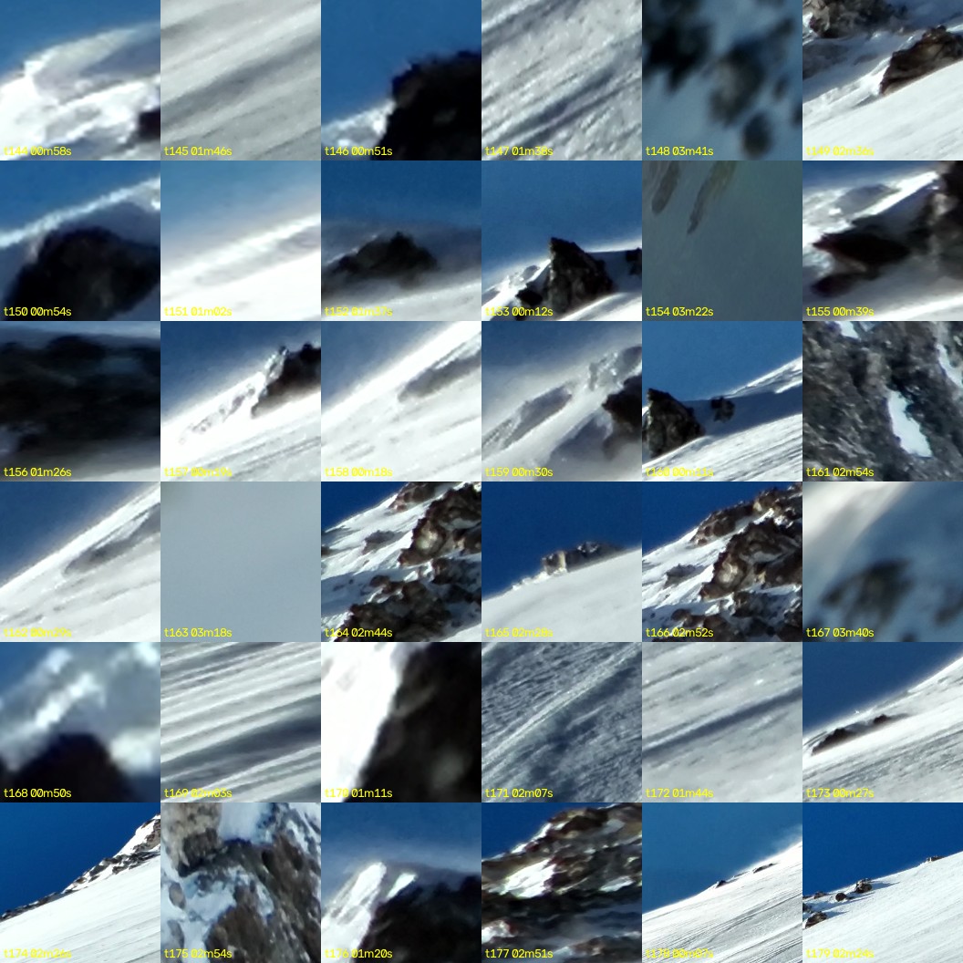 montage_04.jpg