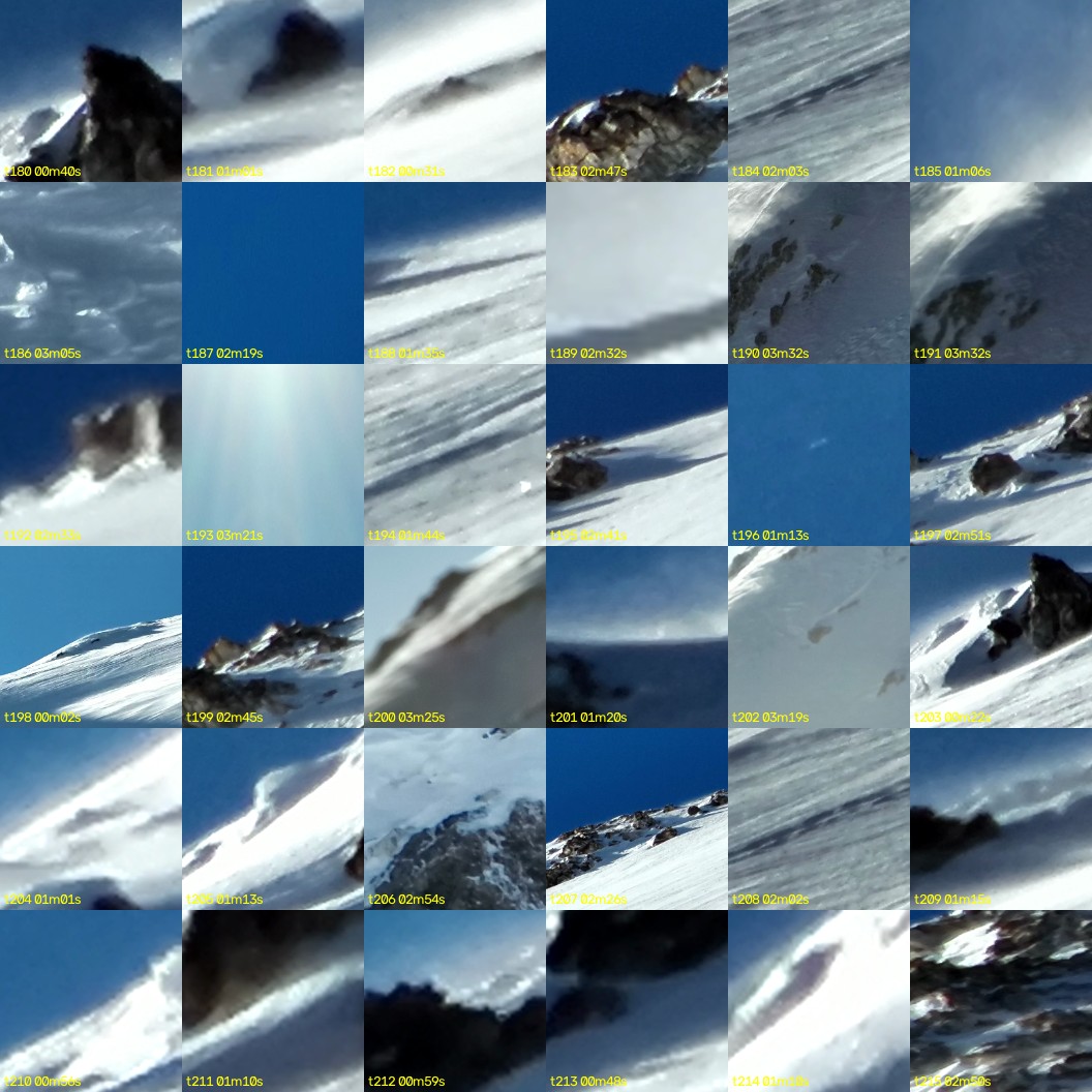 montage_05.jpg