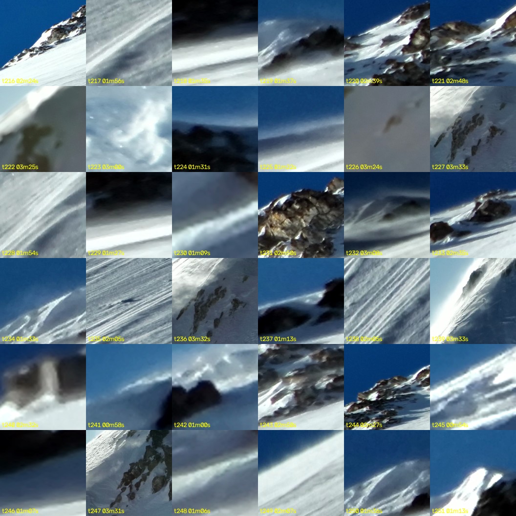 montage_06.jpg