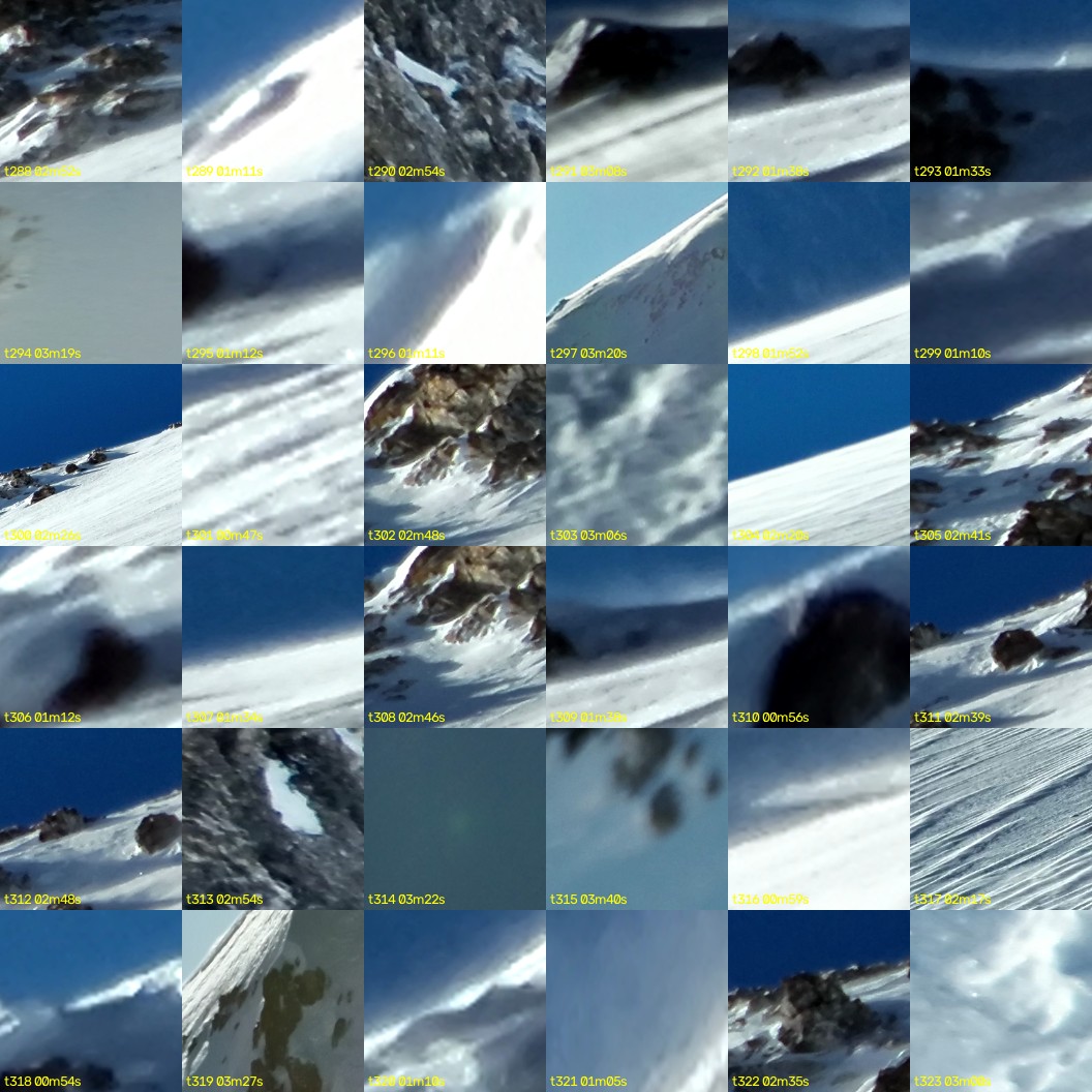 montage_08.jpg
