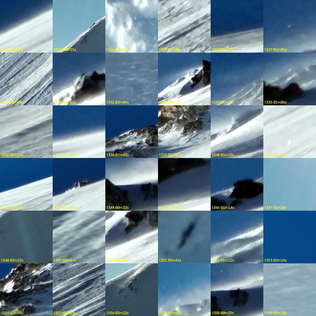 montage_09.jpg