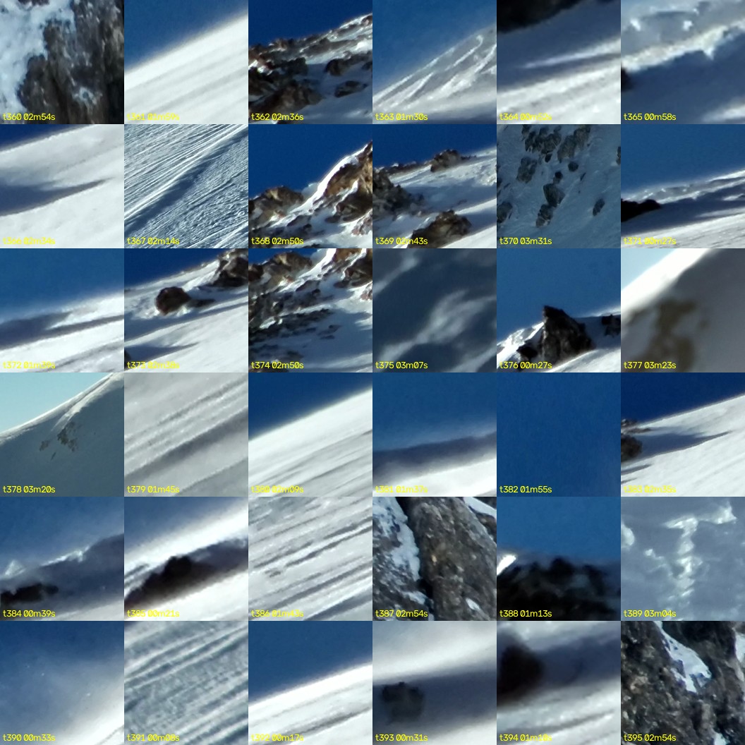 montage_10.jpg