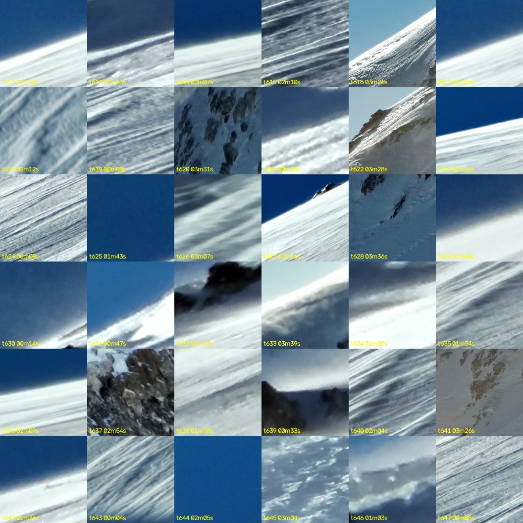 montage_17.jpg