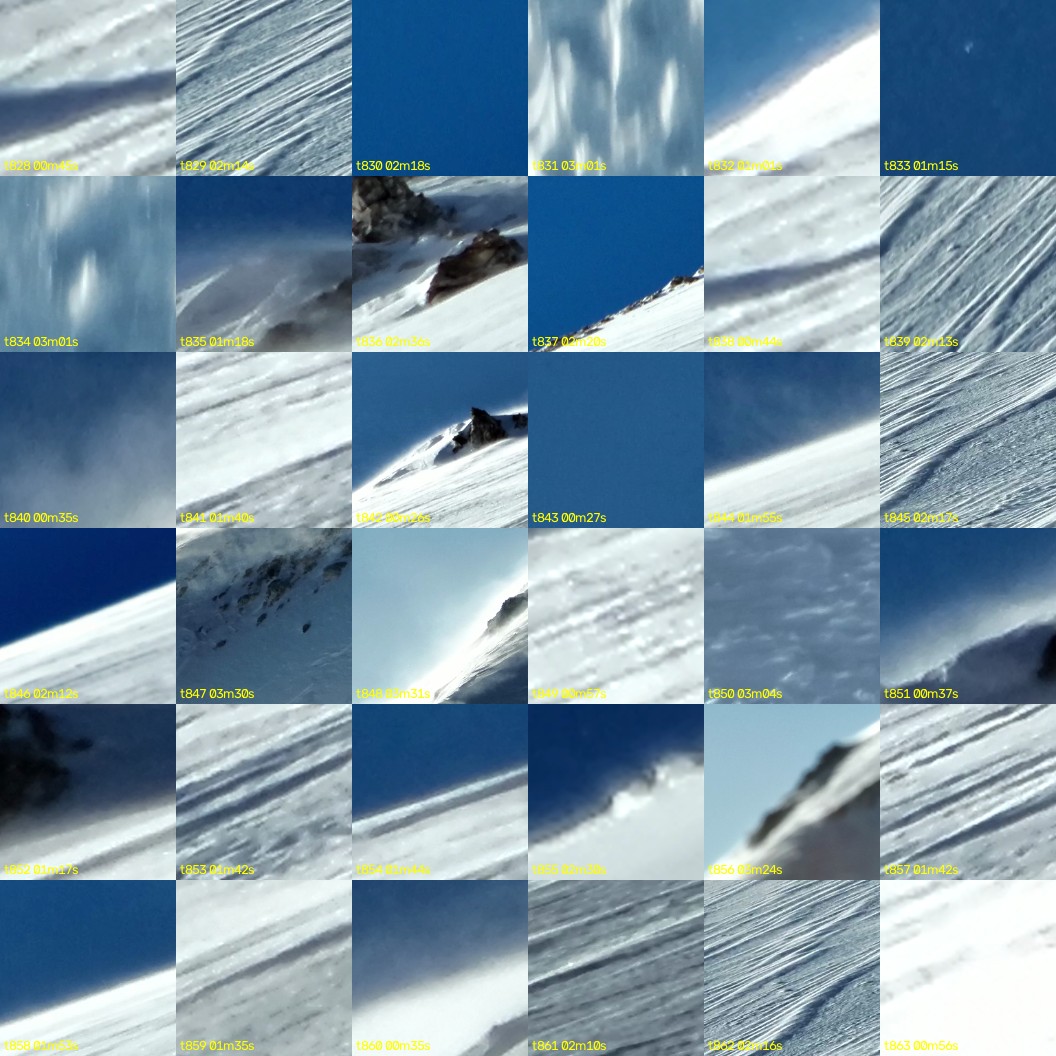montage_23.jpg