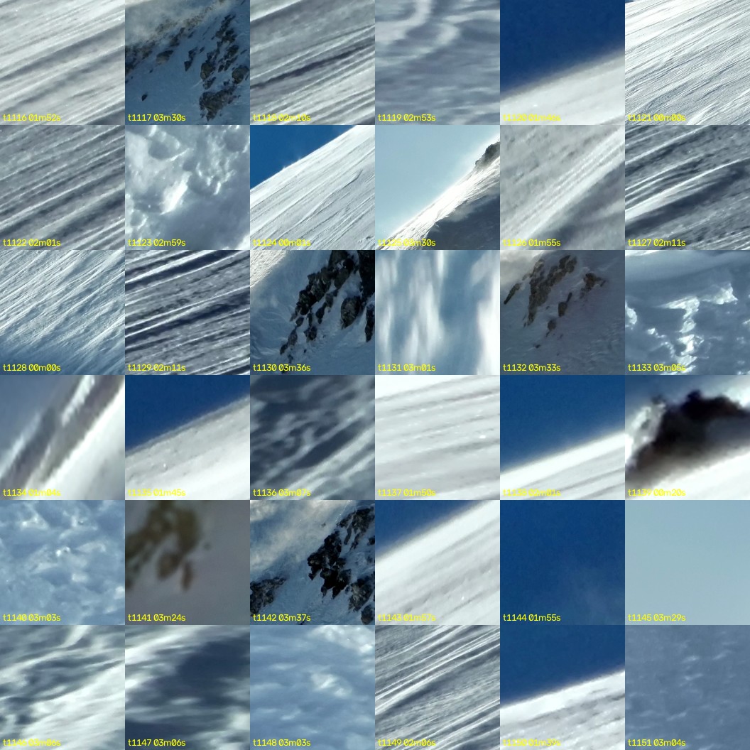 montage_31.jpg
