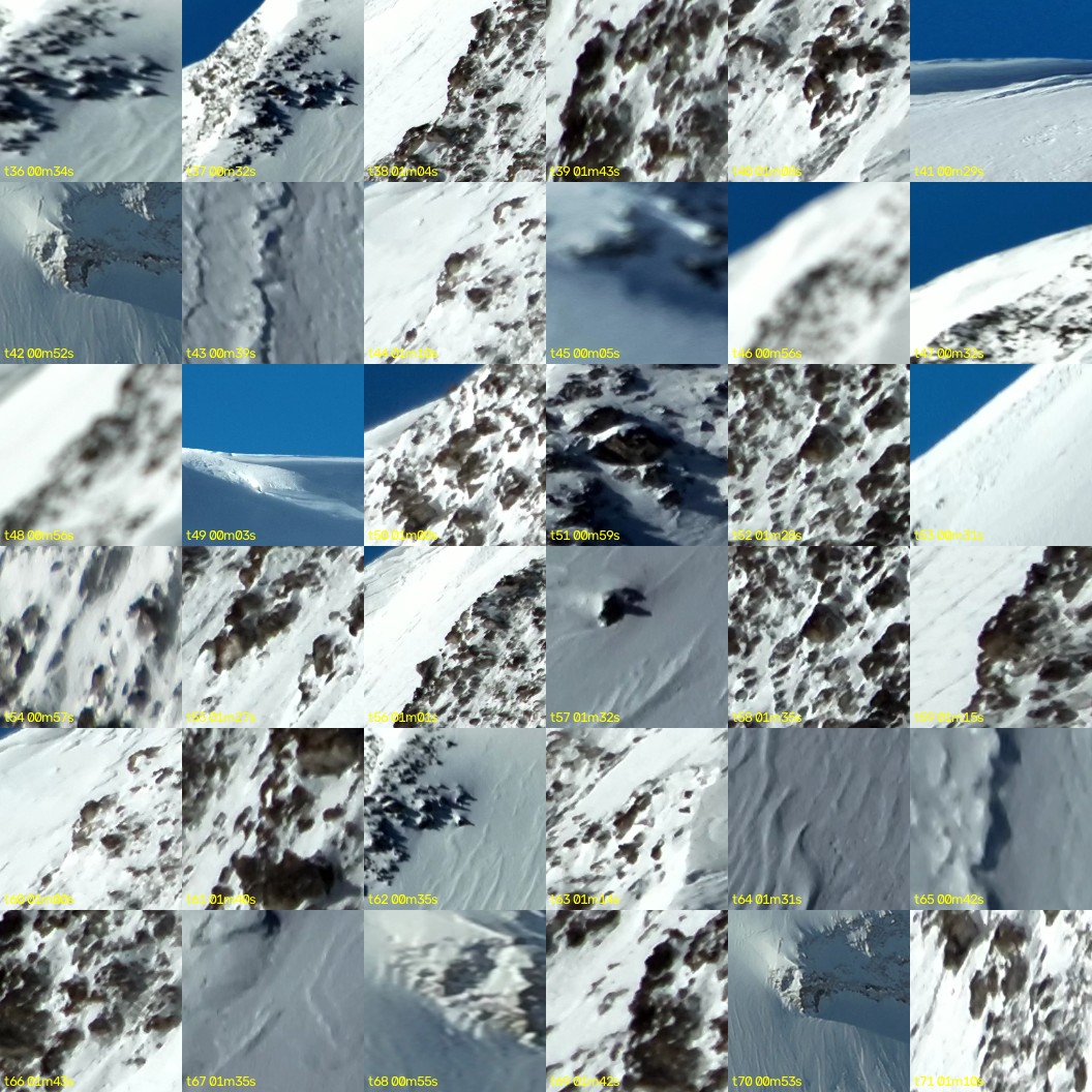 montage_01.jpg