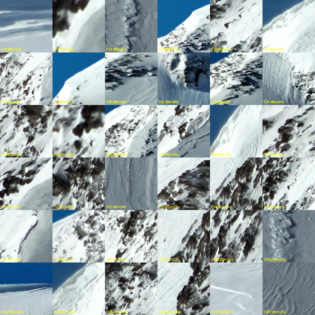 montage_02.jpg