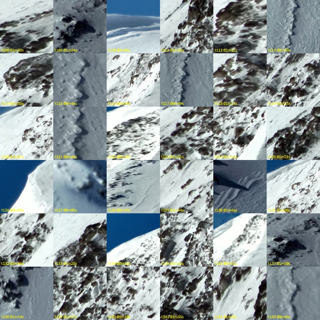 montage_03.jpg