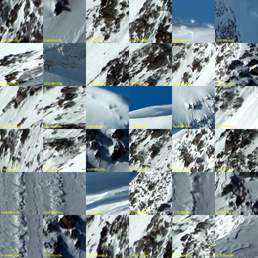 montage_04.jpg