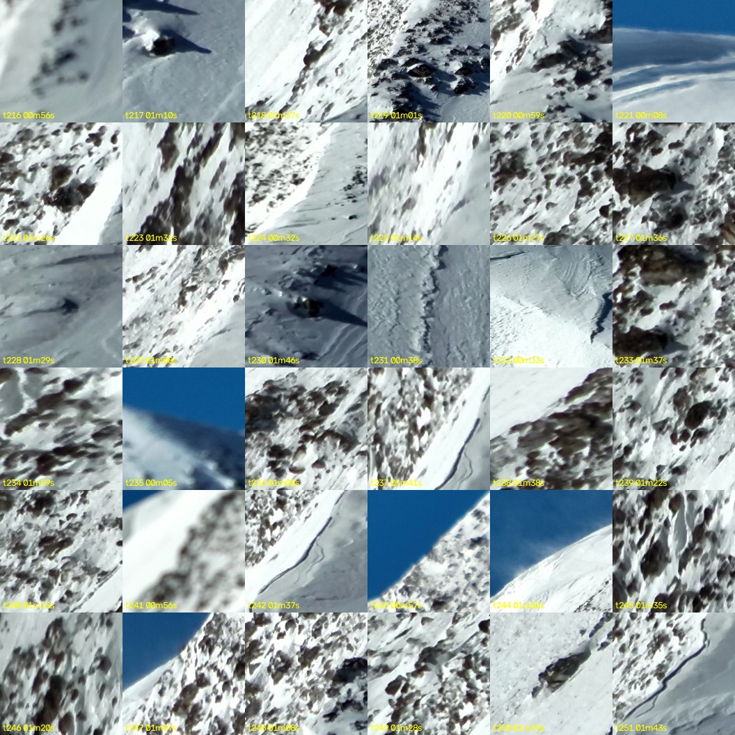 montage_06.jpg