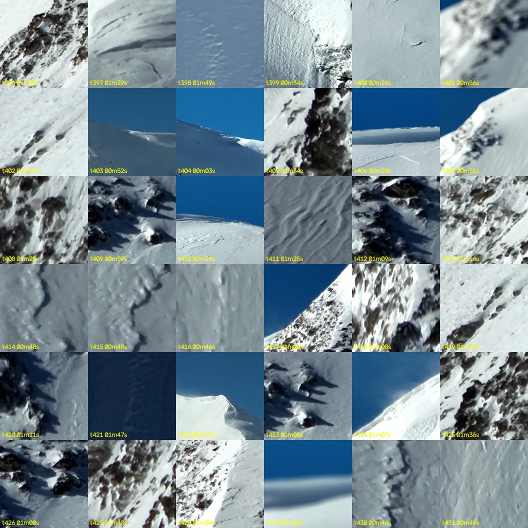 montage_11.jpg