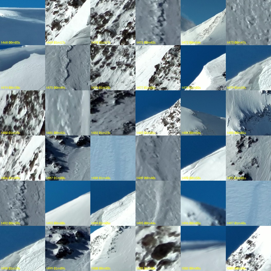 montage_13.jpg