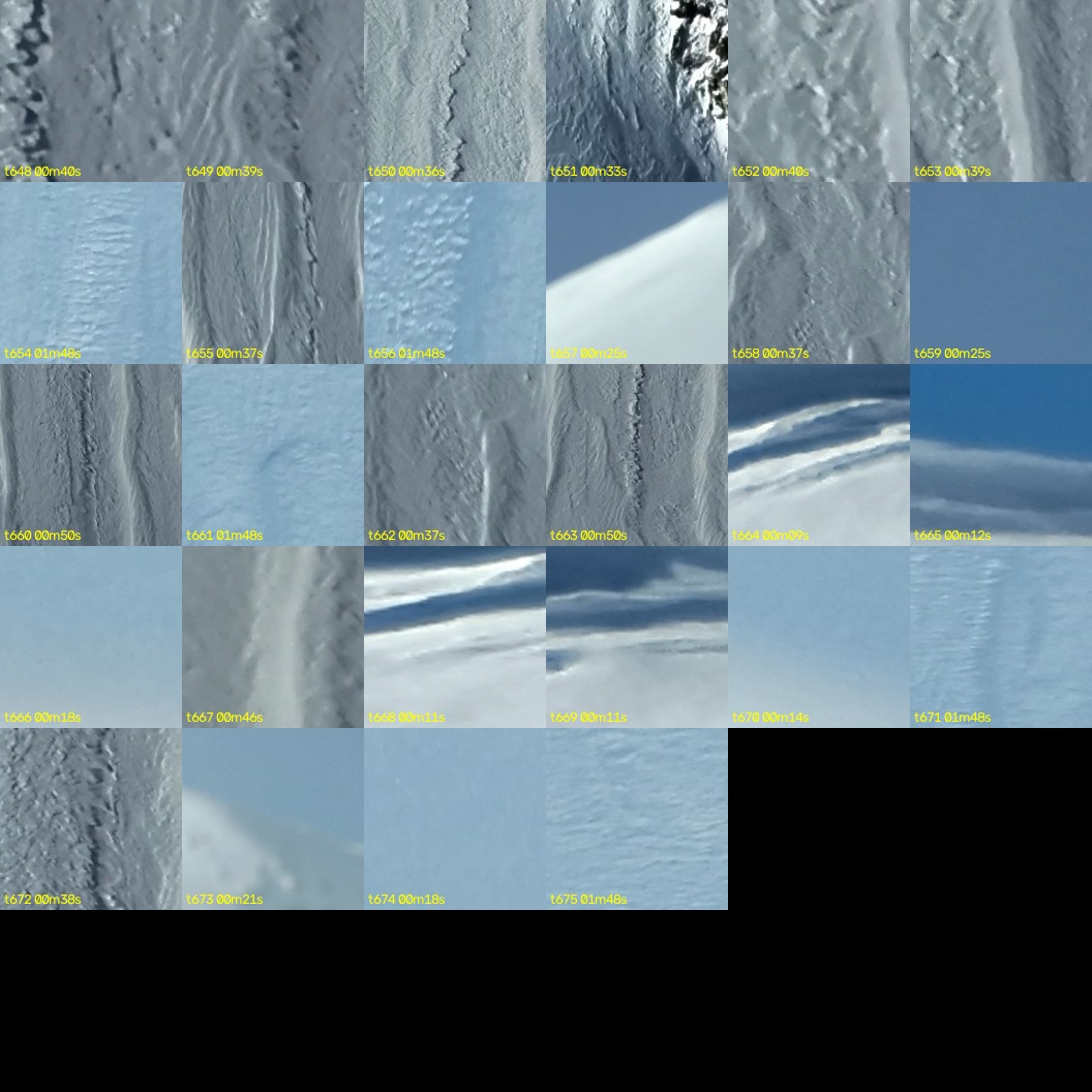 montage_18.jpg