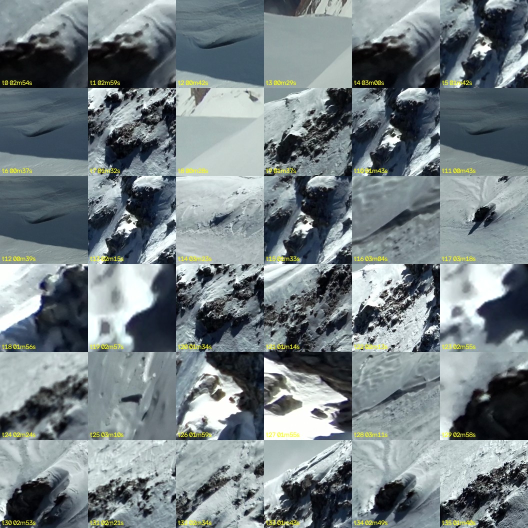 montage_00.jpg