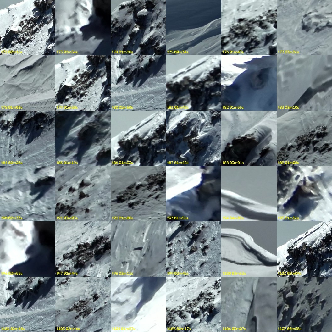 montage_02.jpg