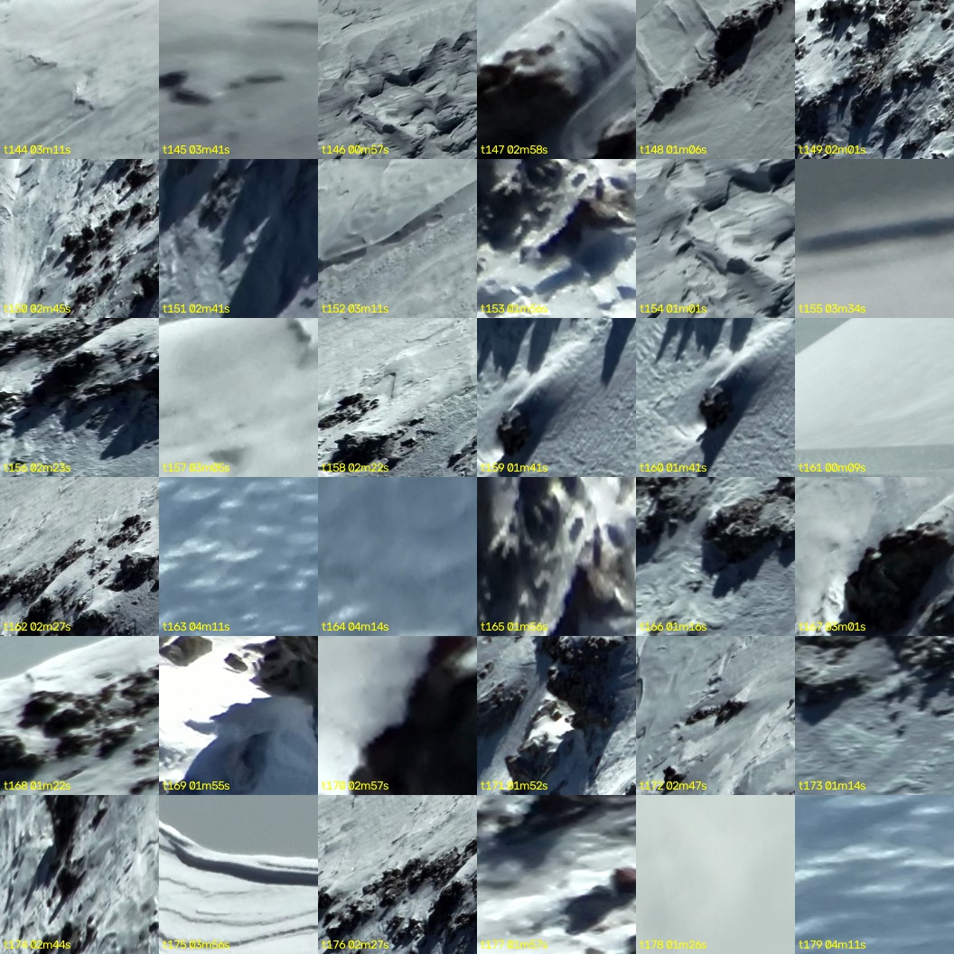 montage_04.jpg