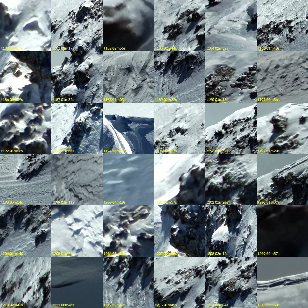 montage_05.jpg