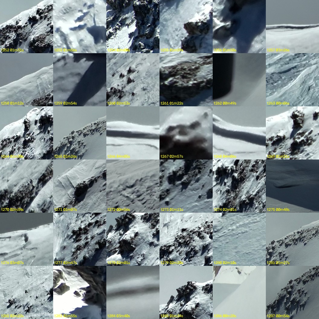 montage_07.jpg