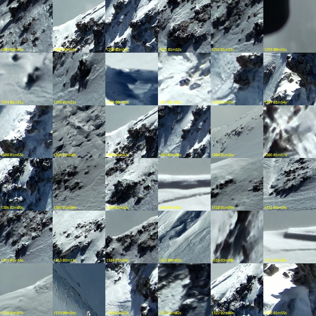 montage_08.jpg