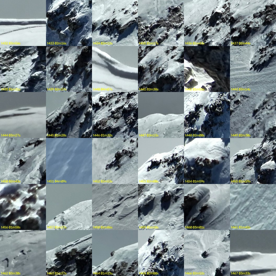 montage_12.jpg