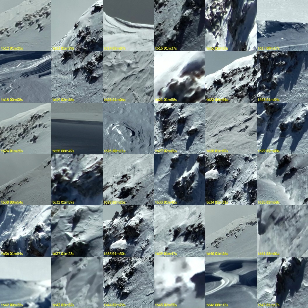 montage_17.jpg