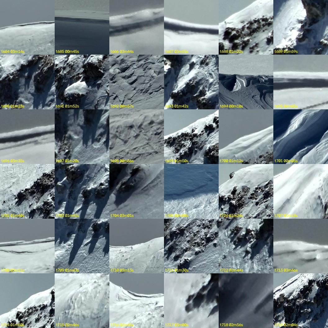 montage_19.jpg