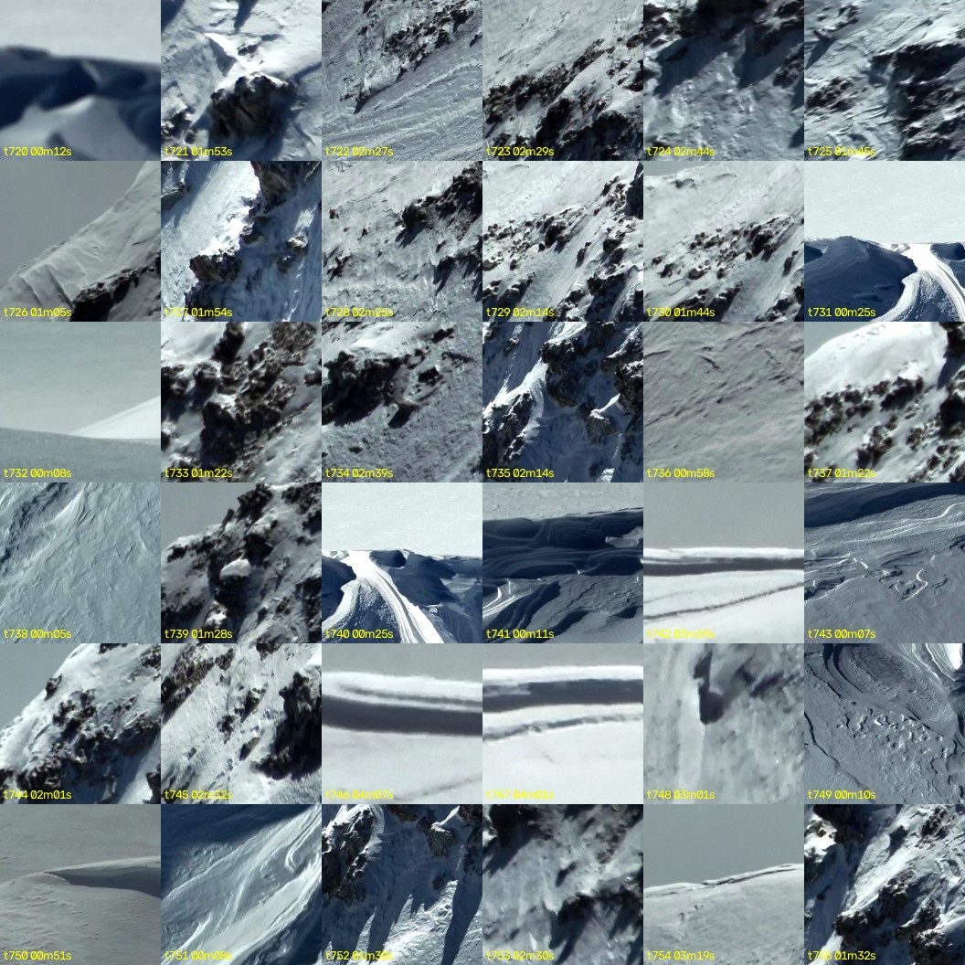 montage_20.jpg