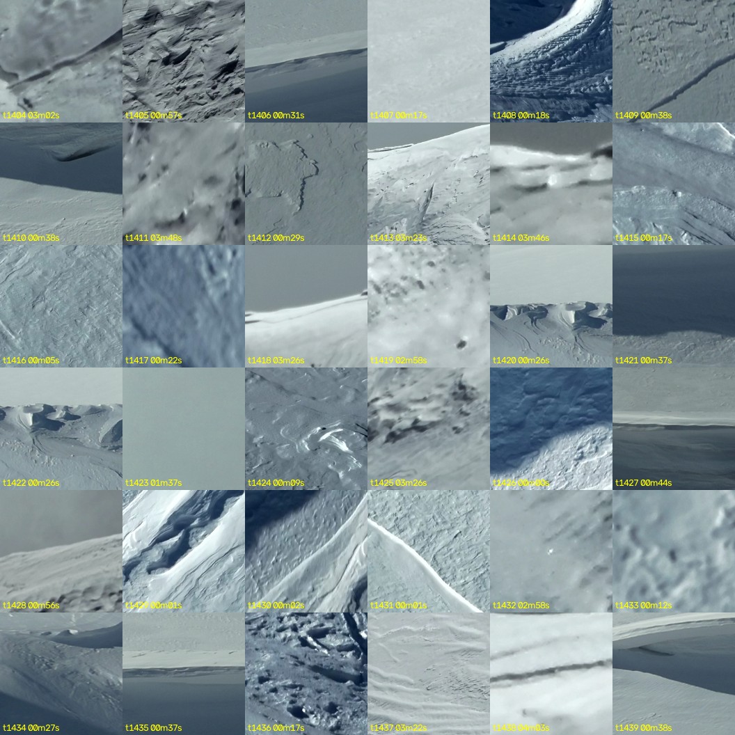 montage_39.jpg