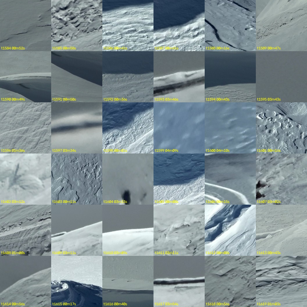 montage_44.jpg