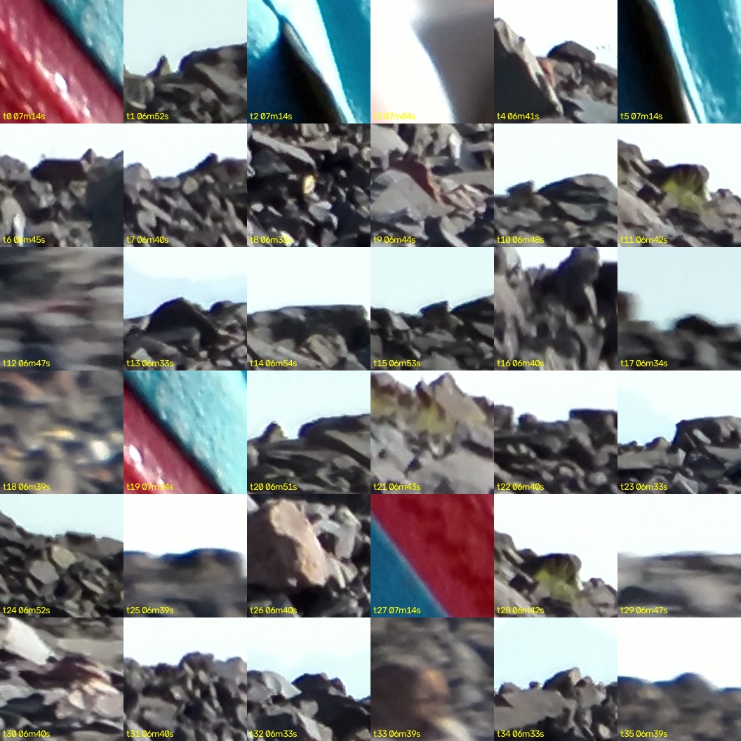 montage_00.jpg