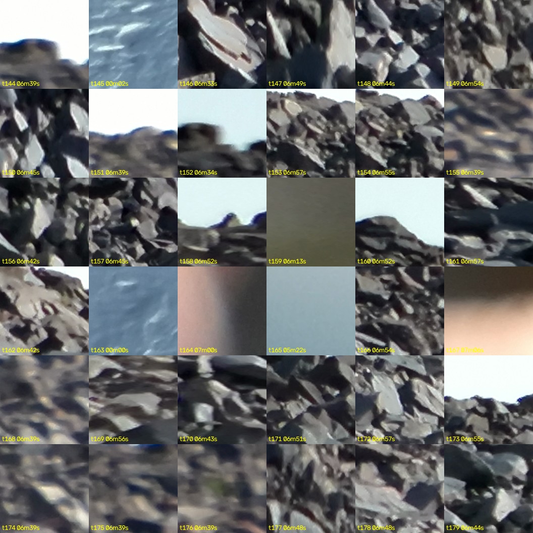 montage_04.jpg