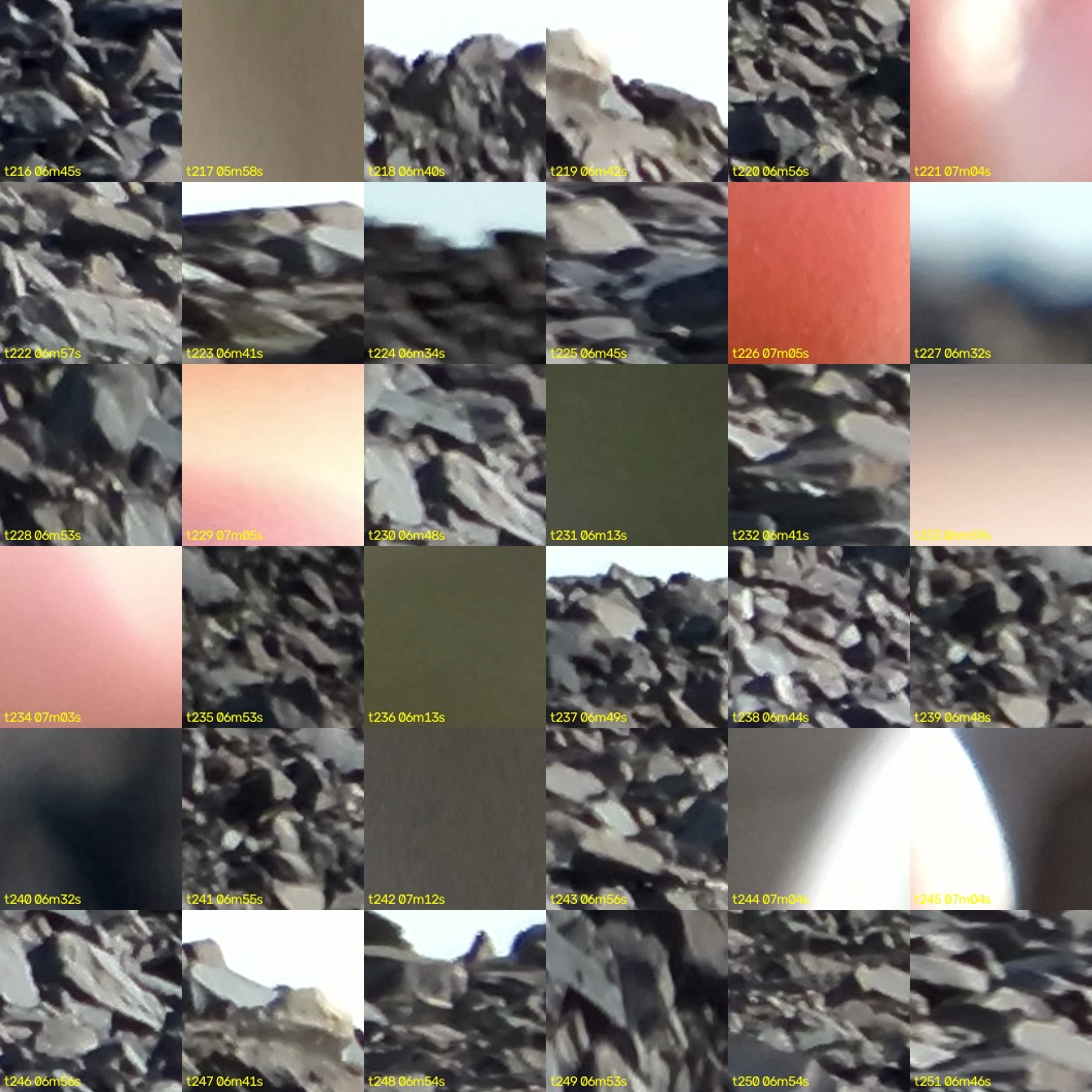 montage_06.jpg